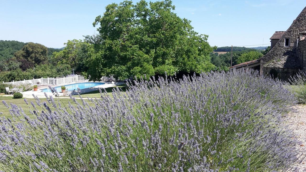 Le Clos-Lascazes Maison D'Hotes Le Buisson-de-Cadouin Luaran gambar
