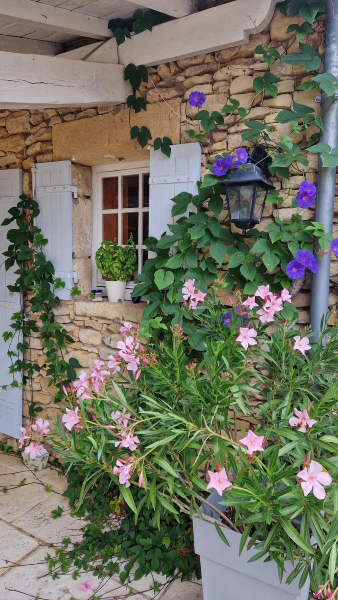 Le Clos-Lascazes Maison D'Hotes Le Buisson-de-Cadouin Luaran gambar